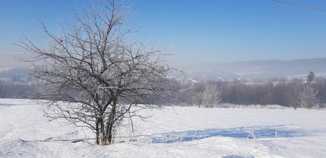 Dom Grabowa Z Sauna I Podgrzewanym Basenem Gilowice  Esterno foto