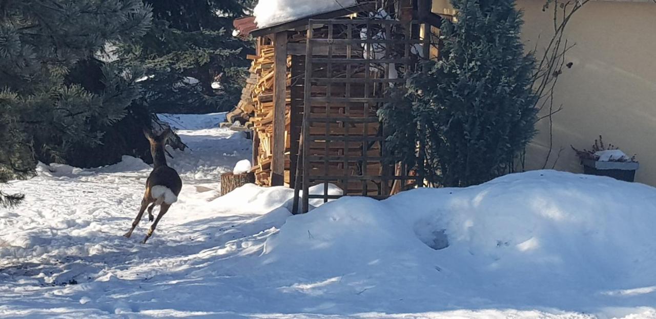 Dom Grabowa Z Sauna I Podgrzewanym Basenem Gilowice  Esterno foto